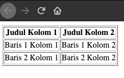 Hasil dari kode tabel dengan border